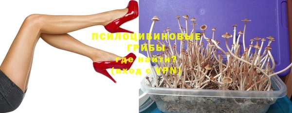 прущая мука Белокуриха